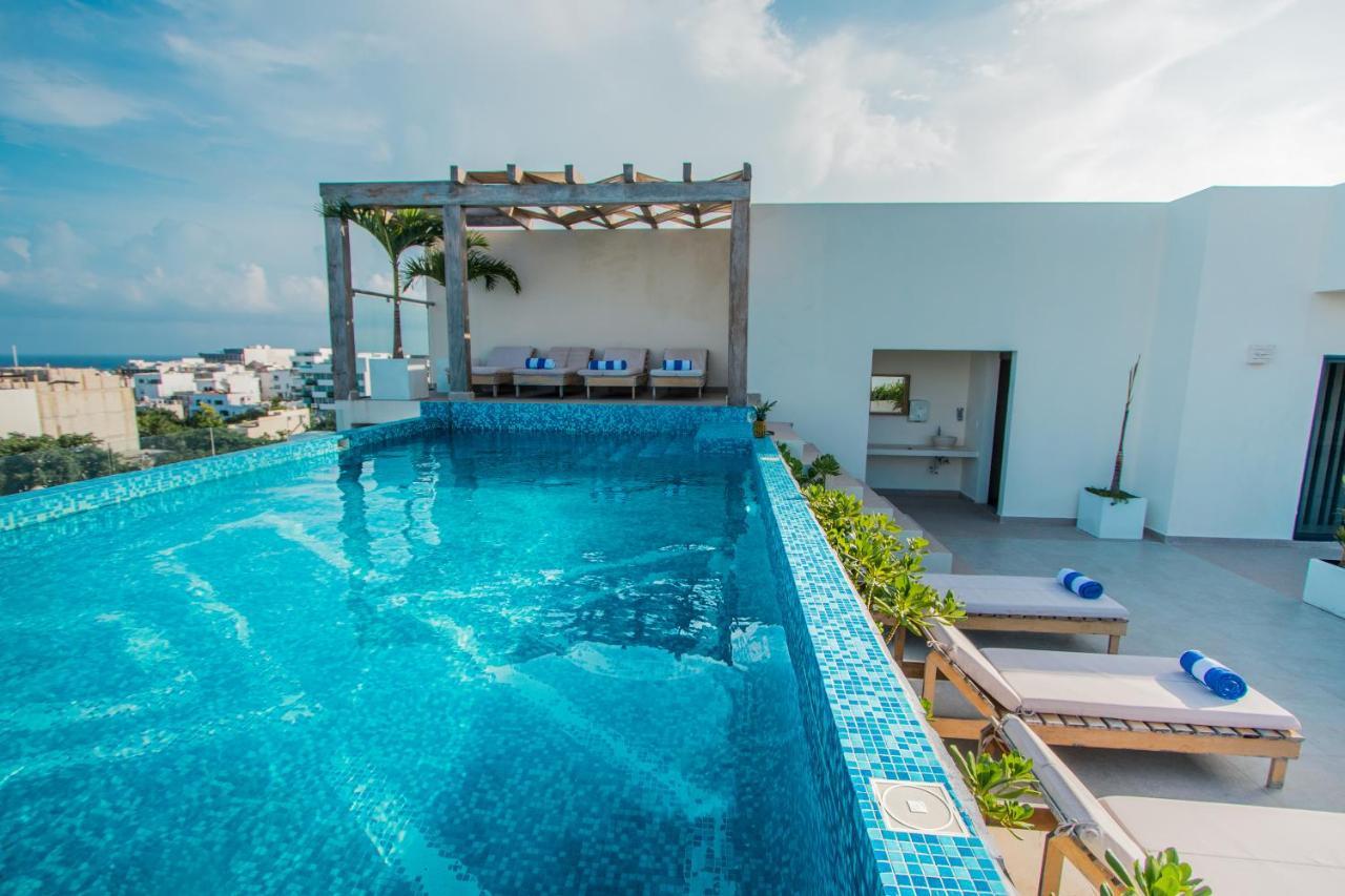 With Ocean View Pool In Av 10 & 60 Street Apartamento Playa del Carmen